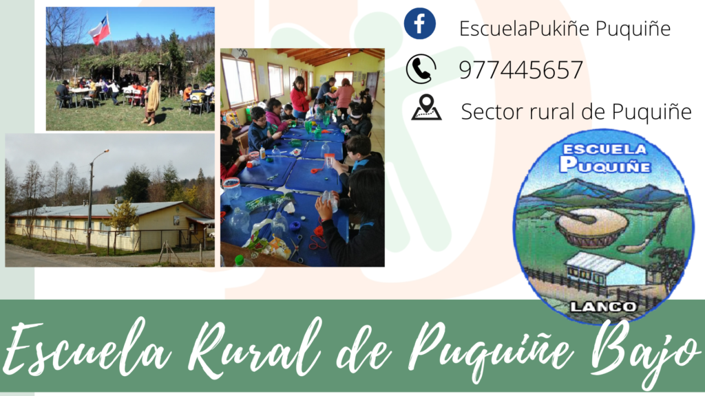 Escuela rural Puquiñe Bajo, una alternativa educacional para el año 2023