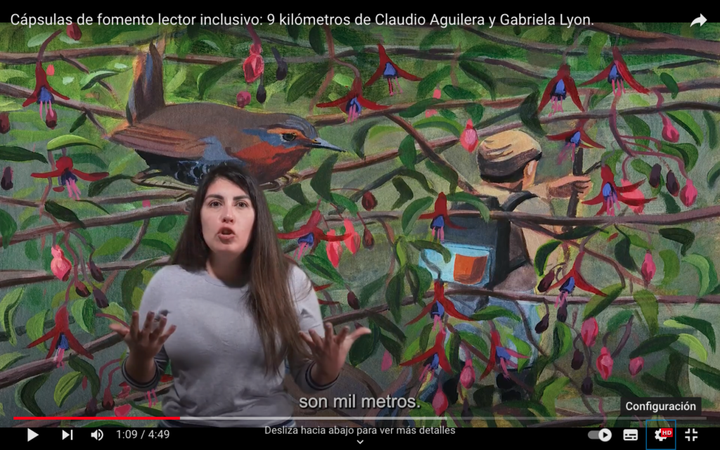 Red de bibliotecas públicas de Los Ríos celebró el Mes de las Infancias con cápsulas de fomento lector inclusivo