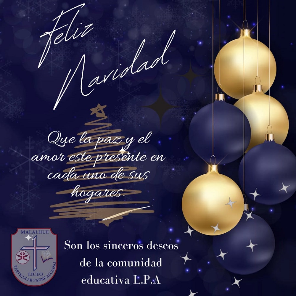 Liceo Particular Padre Alcuino de Malalhue desea Feliz Navidad