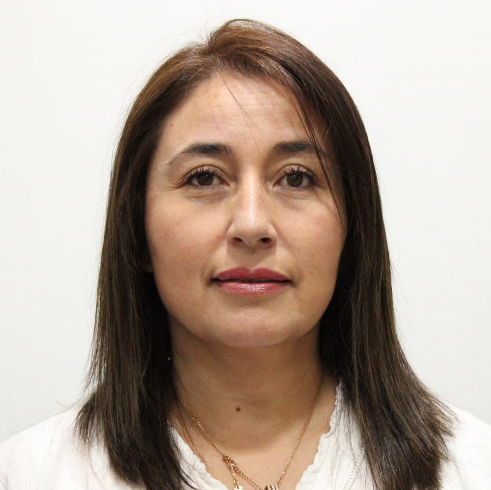 Claudia Lopetegui Moncada asume como nueva Seremi de Energía de la Región de Los Ríos