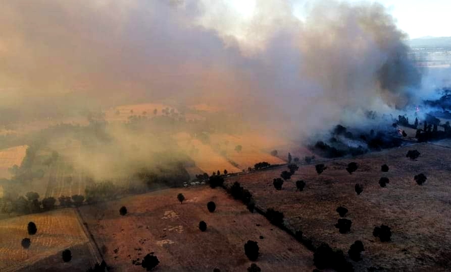 Declaración de «Alerta Roja» en la Comuna de Mariquina por incendio forestal