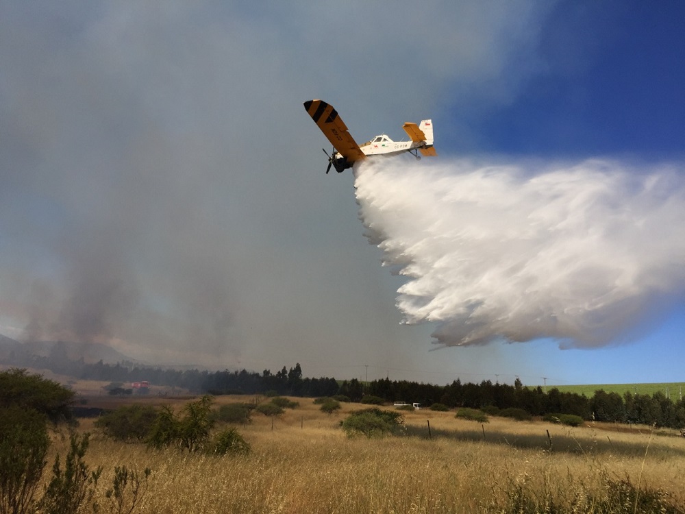 CONAF llama a la prevención de incendios forestales ante alerta por altas temperatura