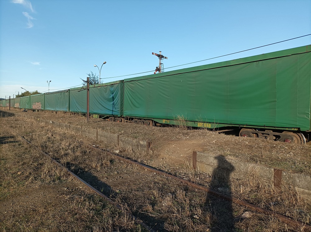 Sin riesgo vital hombre que fue alcanzado por el tren de carga en Lanco