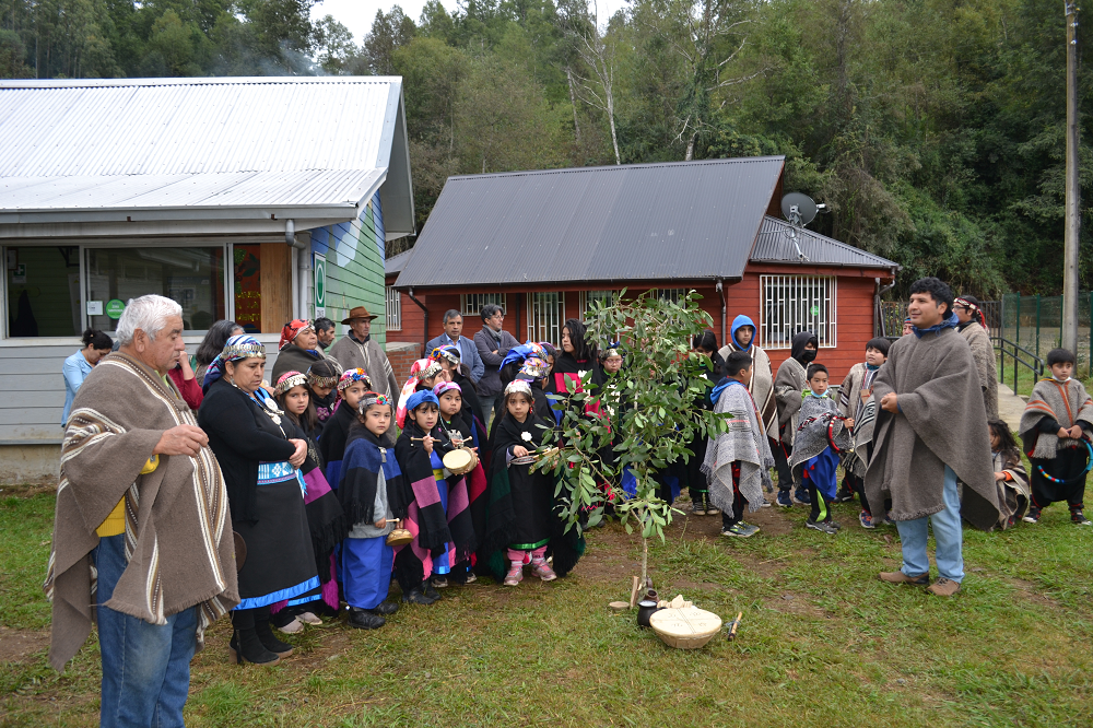 Escuela Rucaklen de Lumaco inicia año escolar con una ceremonia mapuche