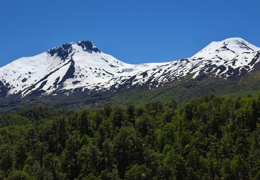 CONAF Los Ríos retoma trabajo de la Mesa de Seguridad de la Reserva Nacional Mocho Choshuenco