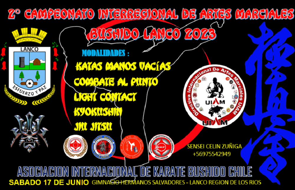 En Lanco se desarrolla el 2do Campeonato Interregional de Artes Marciales 2023