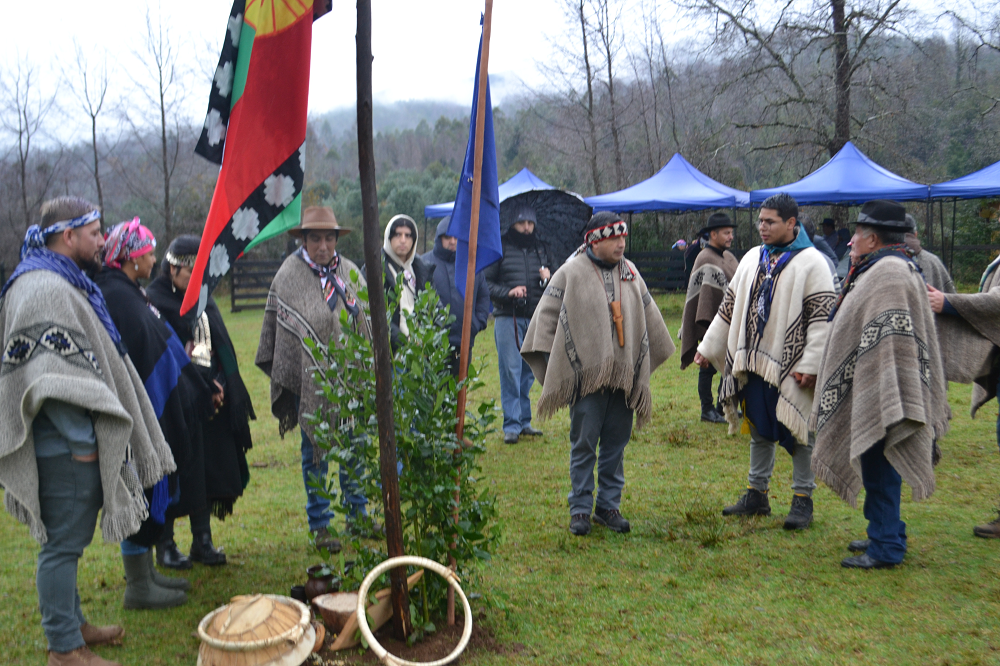 Colegios fueron parte de la celebración del We Tripantu comunal de Lanco