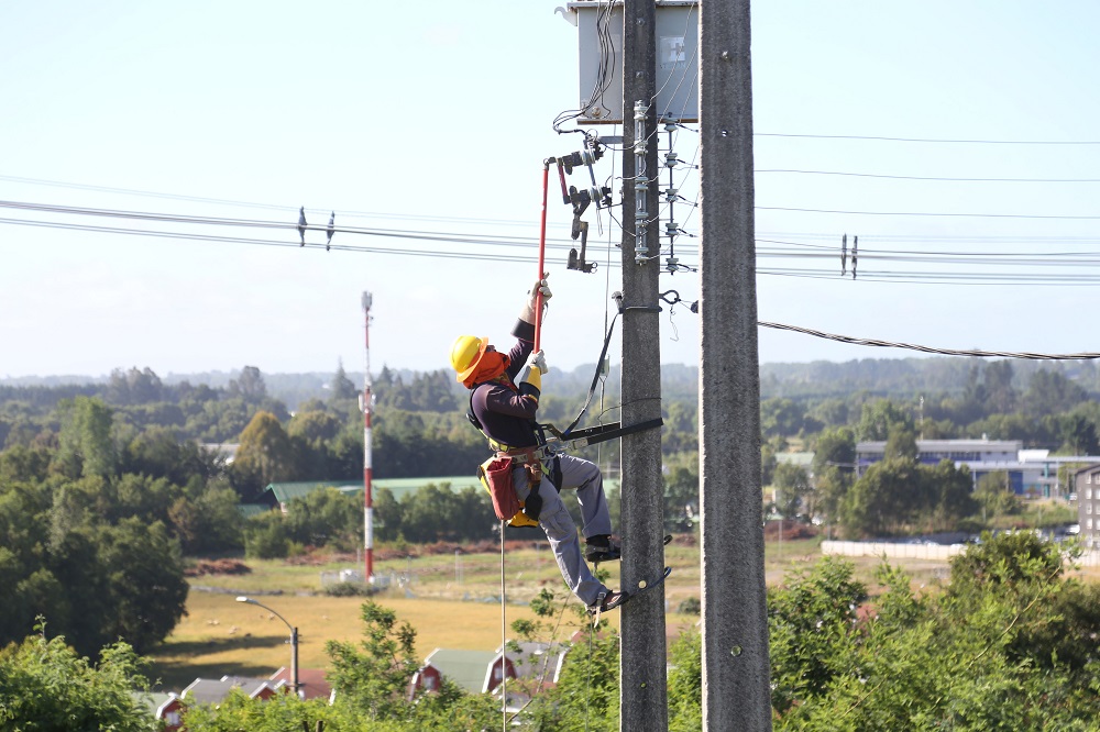 Este jueves: Saesa realizará trabajos para fortalecer la red eléctrica en sectores  de Lanco y Panguipulli