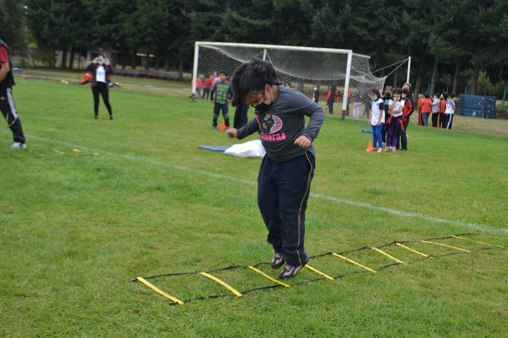 Seis colegios de la comuna de Lanco reciben fondos del Mineduc para deporte y recreación