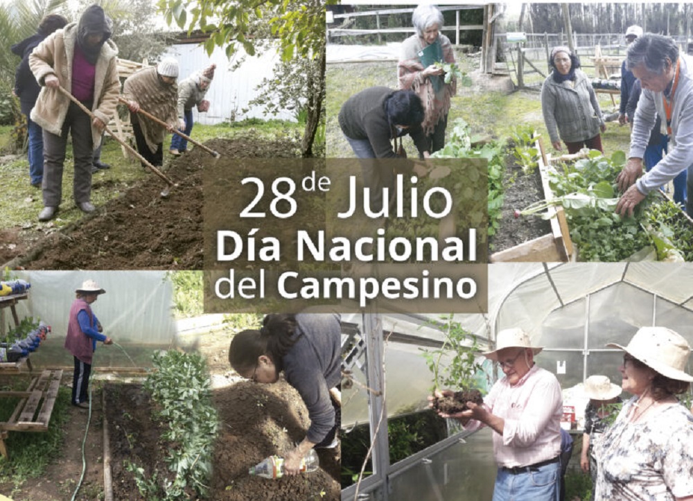 Hoy 28 de julio se celebra el Día Nacional del Campesino y la Campesina