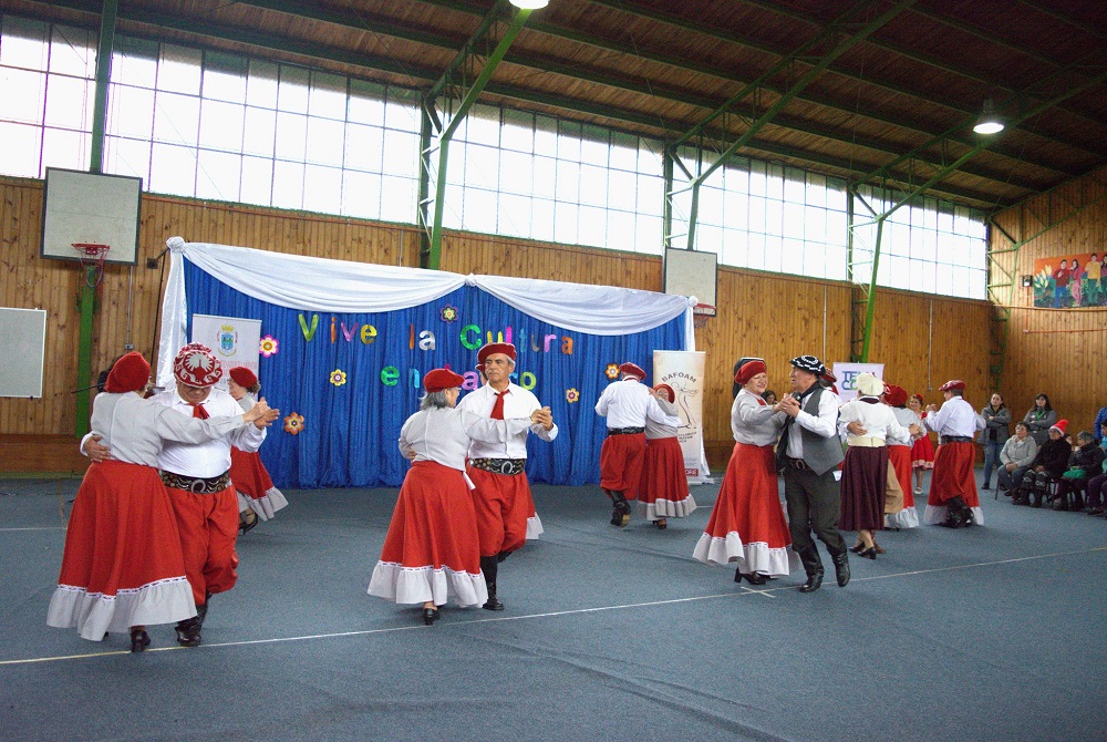 Ballet folclórico de adultos mayores de Temuco realiza gira en Los Ríos