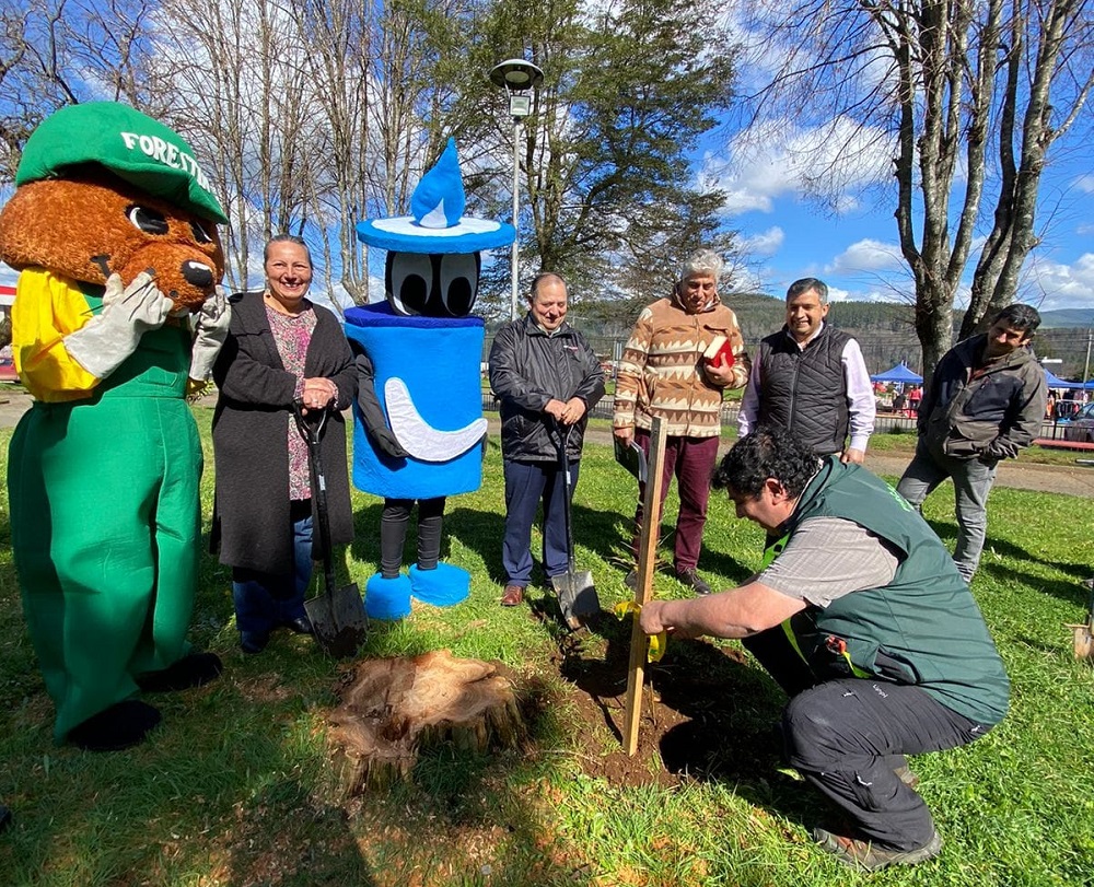 En Malalhue se inició la plantación de 80 árboles, con motivo del octogésimo aniversario de la localidad