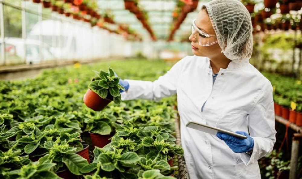 Se extienda plazo para postular al Premio Nacional Mujer Agro Innovadora 2023