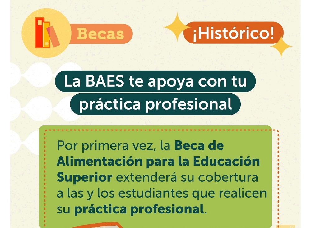 Junaeb extenderá la Baes a estudiantes beneficiarios que realicen su Práctica Profesional en periodos estivales