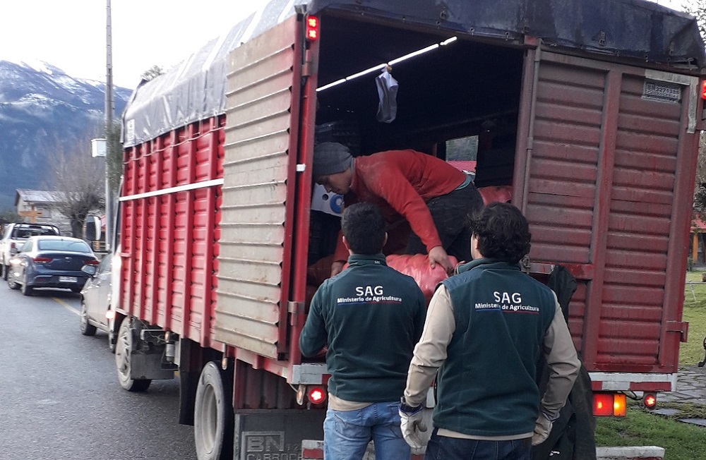 SAG fiscaliza transporte y comercio de papa en Los Ríos