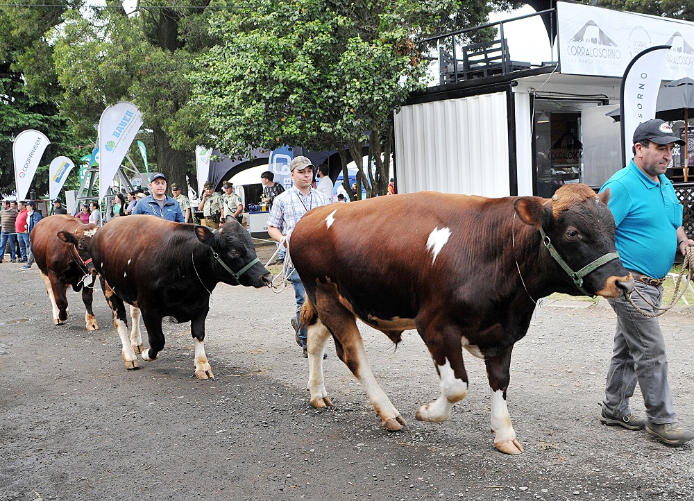 Más de 300 animales serán expuestos en SAGO Fisur 2023