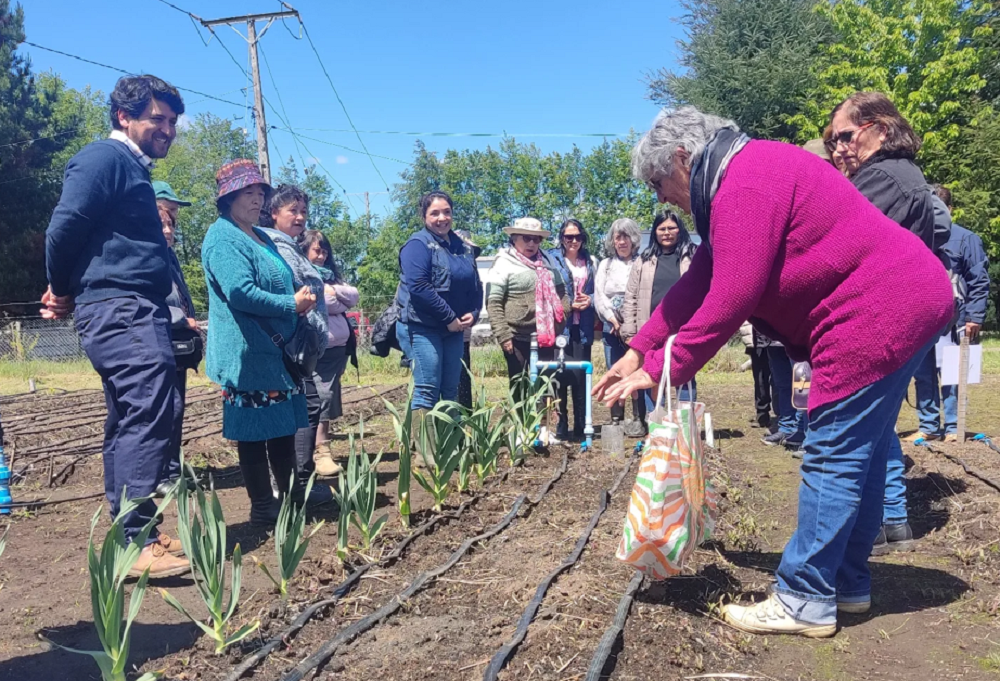 Productores de hortalizas conocen técnicas de adaptación a climático en huerto agroecológico