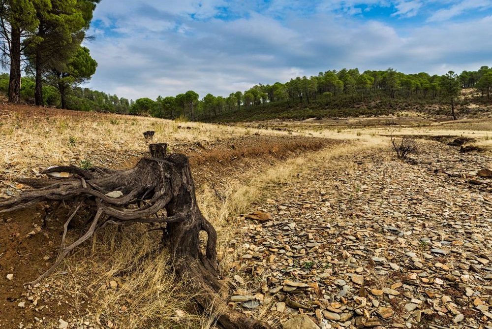 Siete de cada 10 chilenos cree que el cambio climático ya ha tenido un efecto grave donde viven