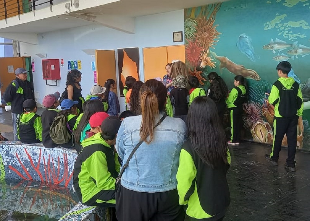 Estudiantes de la escuela Rural Rucaklen de Lumaco vivieron especial salida pedagógica en la ciudad de Valdivia