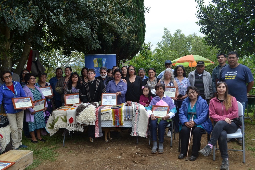 Comunidad Indígena Faustino Manquehuala del sector Antilhue Bajo cerró dos proyectos con apoyo del GORE