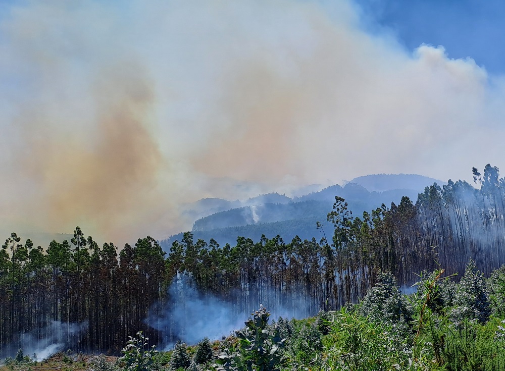 Reiteran llamado a la prevención de incendios frente a altas temperaturas