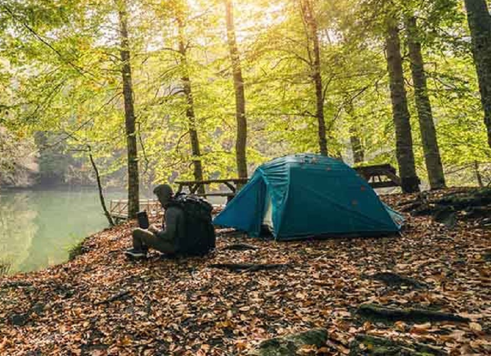 Recomendaciones para prevenir el contagio del hantavirus en vacaciones