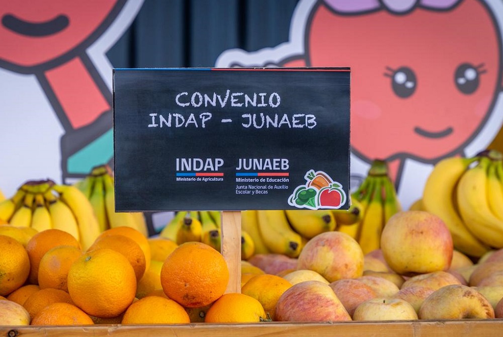 Agricultura familiar logró récord de ventas al Programa de Alimentación Escolar de Junaeb en 2023