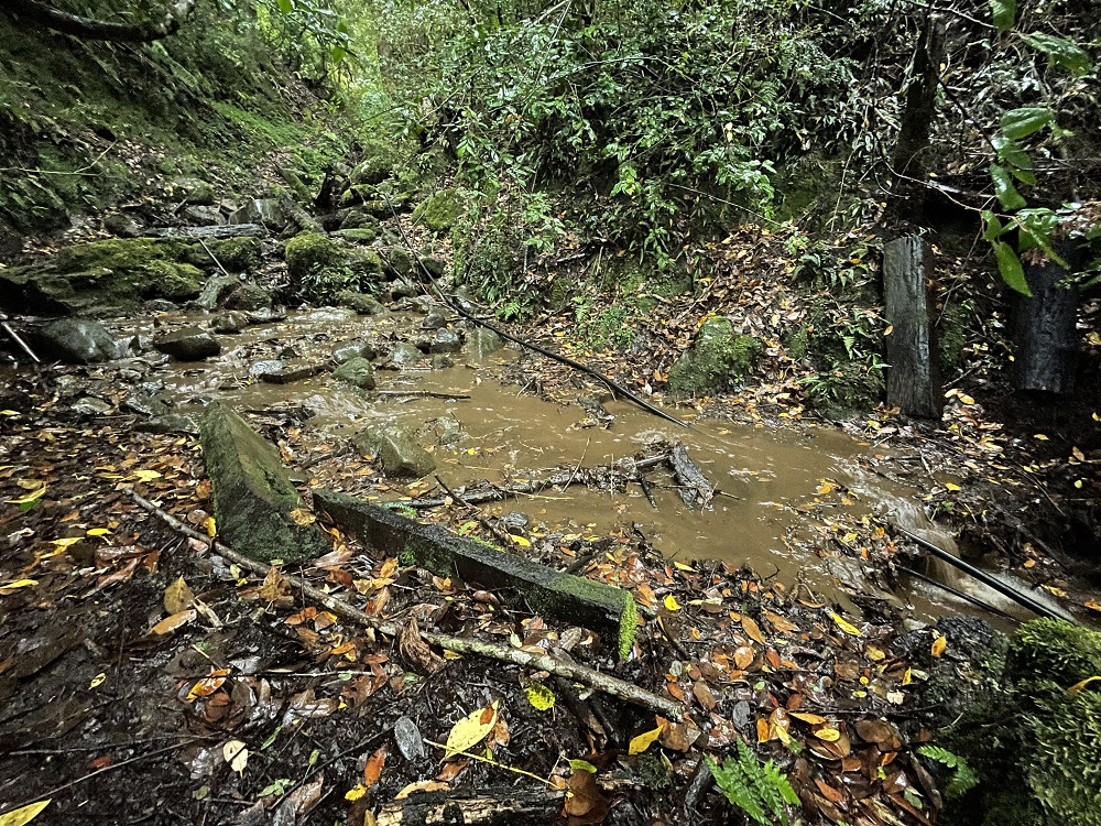 Identifican puntos críticos para la protección de las cuencas de agua en Lanco