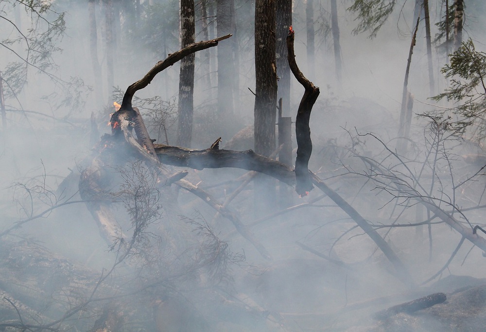 Incendios forestales: Especialistas explican los riesgos a los que se exponen las personas después de un siniestro y hacen llamado a utilizar elementos de protección personal