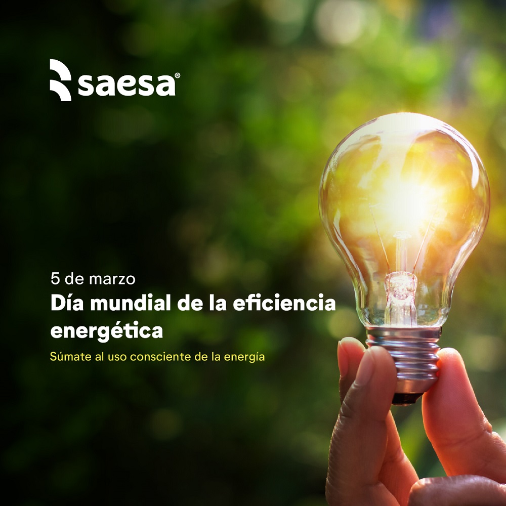 Saesa invita a tomar conciencia y hacer uso eficiente de la energía