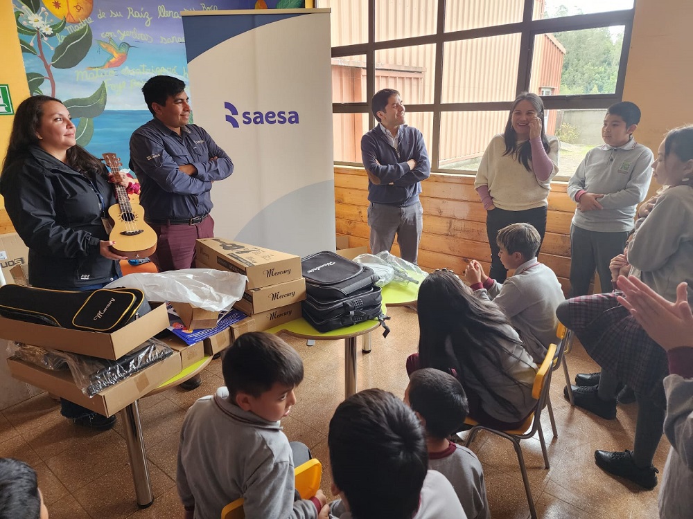 Escuelas rurales de Los Ríos participan en Competencia de Eficiencia Energética de Saesa