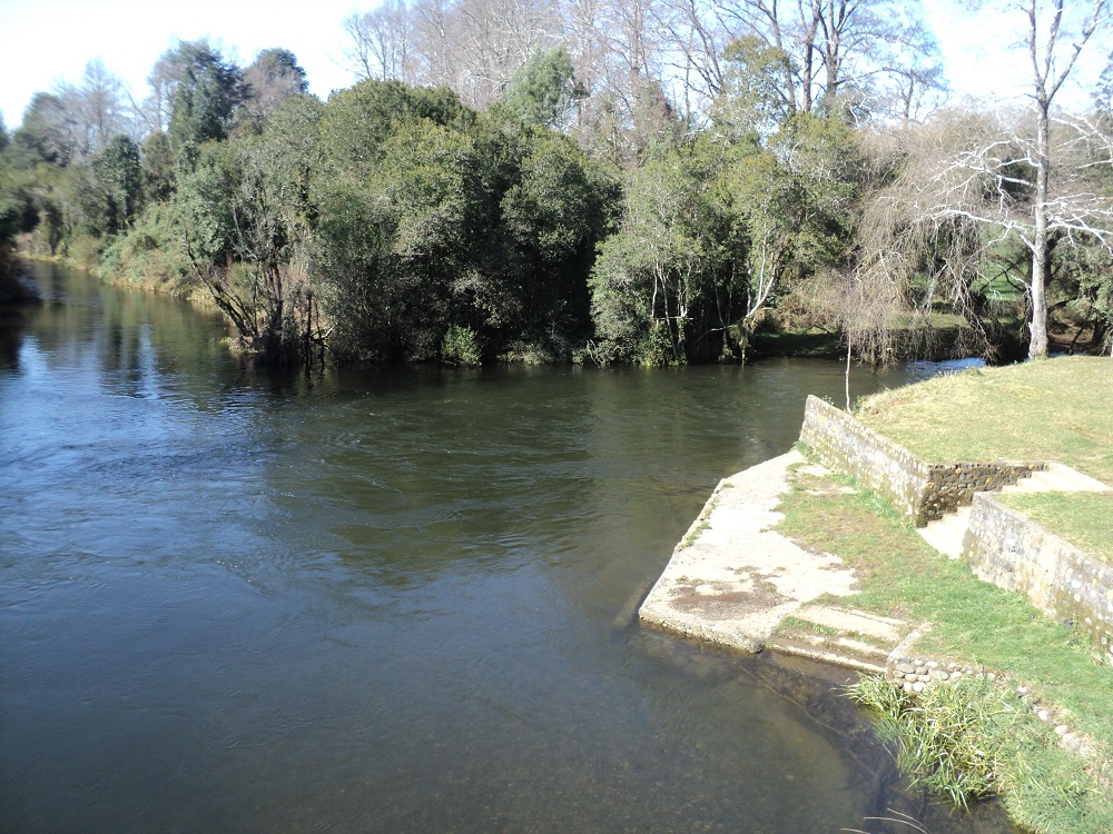 Cooperativa de Agua de Malalhue destaca la importancia del Día Mundial del Medio Ambiente