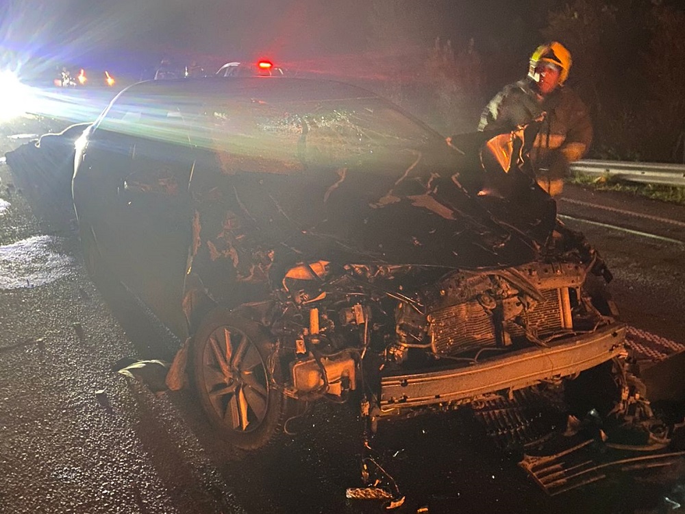 Colisión con animal vacuno causa accidente vehicular en el sector Quilche-Malalhue