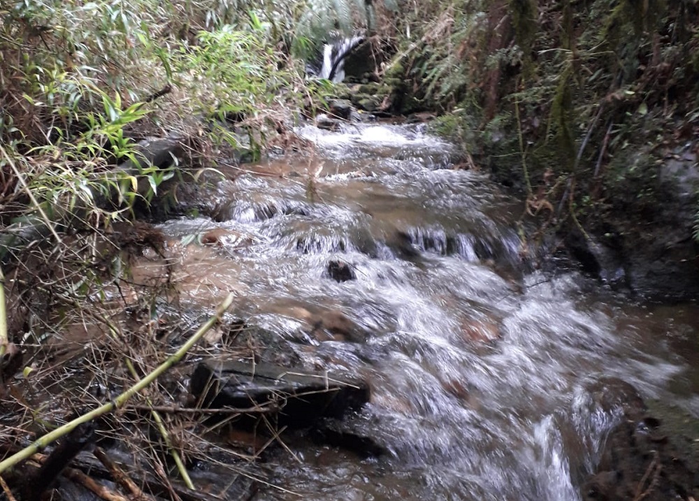 Escuela Rural de Puquiñe lanza Taller de gestión estratégica y uso sustentable del agua