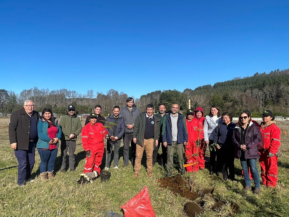 Director Regional de CONAF conoce avance del Parque Urbano de Malalhue