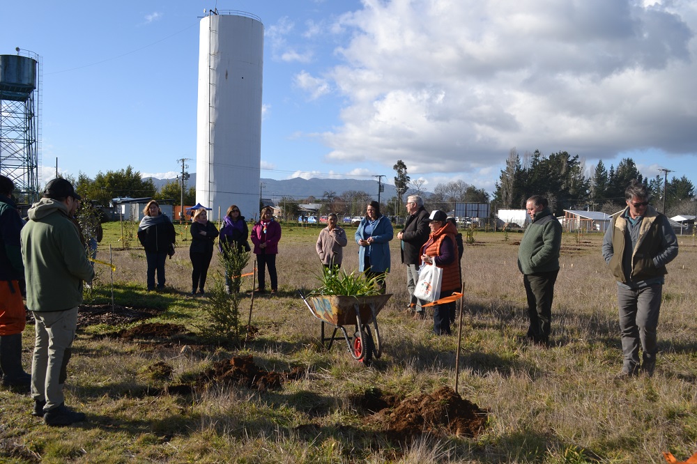 Vecinos participan en la plantación de árboles nativos en el proyecto del Parque Urbano de Malalhue