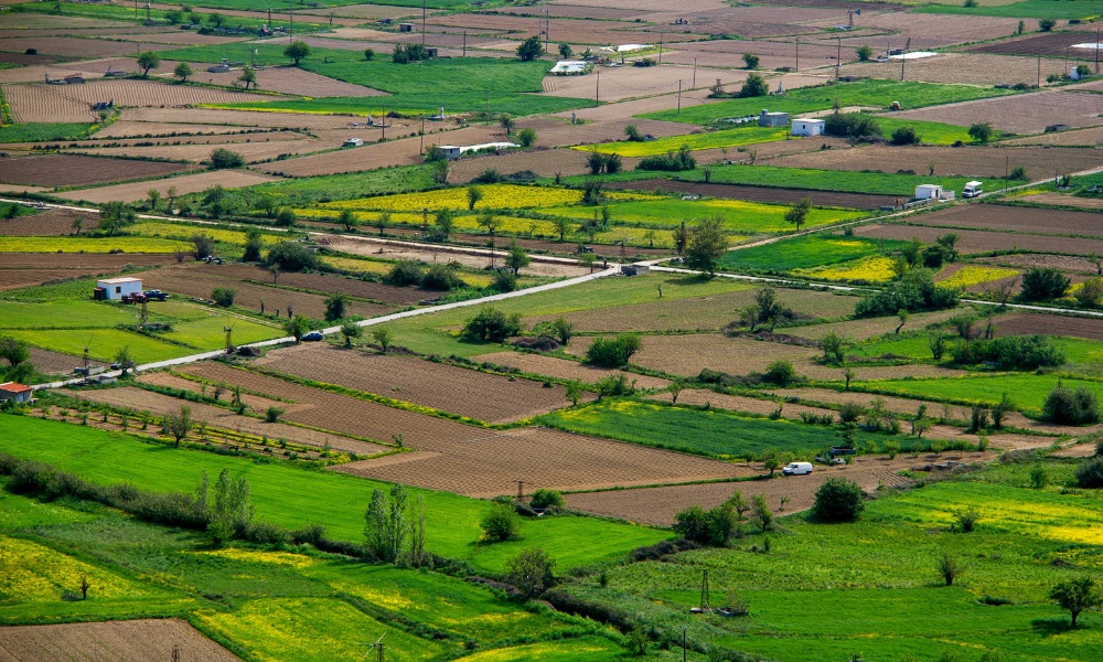 Gobierno presenta proyecto de ley para la  “Protección del territorio y la vida rural”