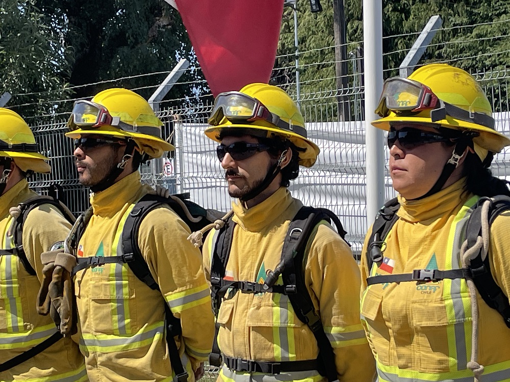 CONAF abrió proceso de inscripción para ser brigadista