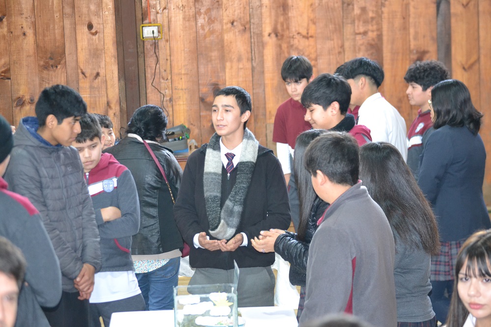 Estudiantes del Liceo Bicentenario Particular Padre Alcuino de Malalhue realizan la segunda versión del «Museo de Fósiles»