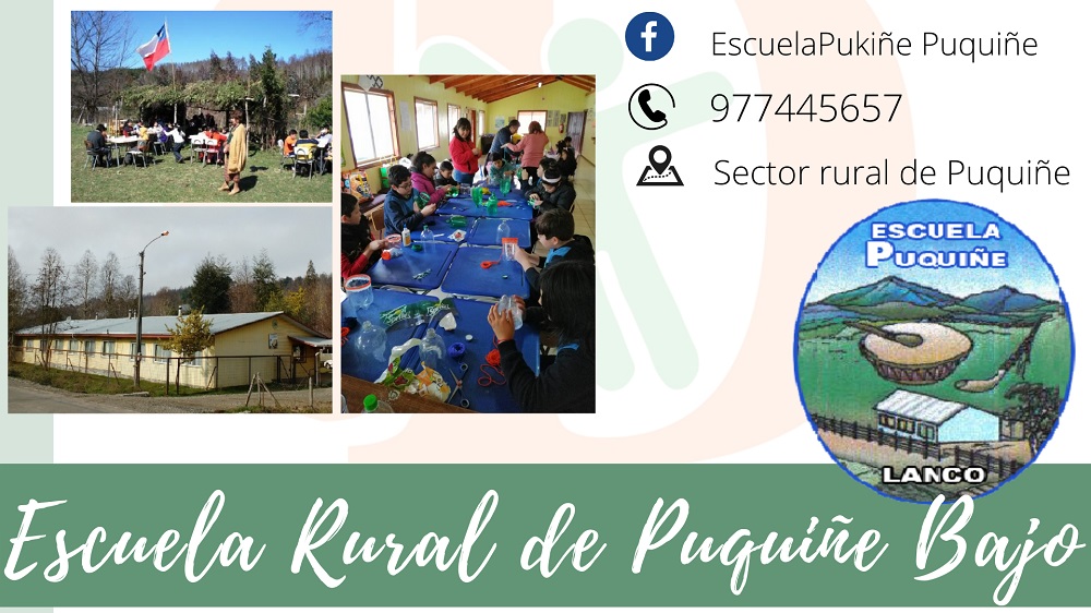 Escuela Rural de Puquiñe Bajo invita a ser parte del proceso académico 2025, destacando su compromiso medioambiental