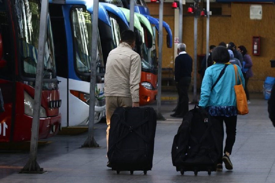 SERNAC entregó recomendaciones para viajes en buses interurbanos durante Fiestas Patrias