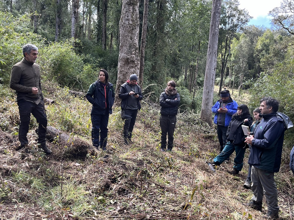 Funcionarios de CONAF fueron capacitados en Ordenación Forestal