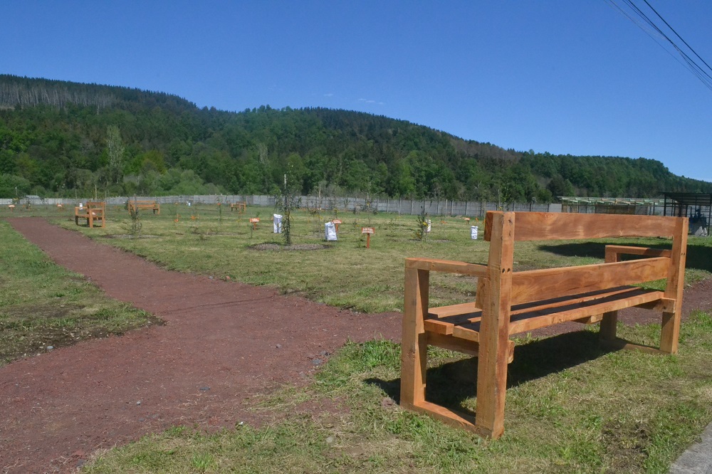 Empresa Cran Chile: Un pilar fundamental en el proyecto del Parque Urbano de Malalhue