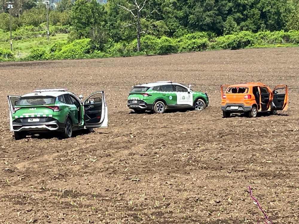 Cinco detenidos por robo de vehículo a conductora en Los Lagos