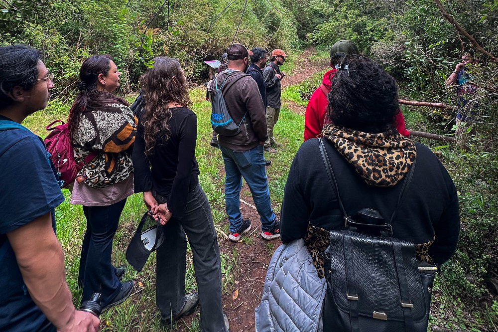 Primer encuentro territorial de la zona sur de la red Bosquentrama: trazando un camino hacia la protección del patrimonio natural