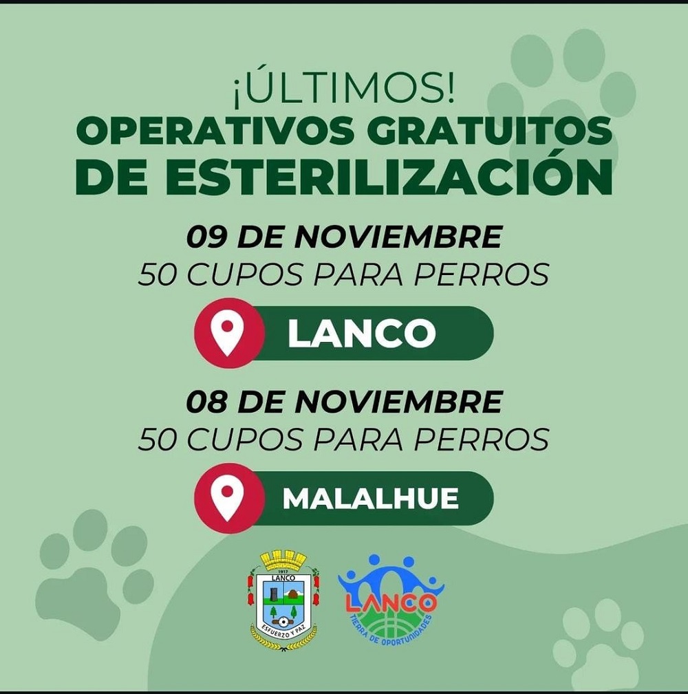 Municipalidad de Lanco realizará Operativo de Esterilización Canina en Lanco y Malalhue