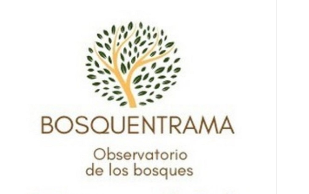 En Lanco se desarrollará el Encuentro Territorial «Observatorio de los Bosques y las Políticas Forestales» a cargo de la Red Bosquentrama