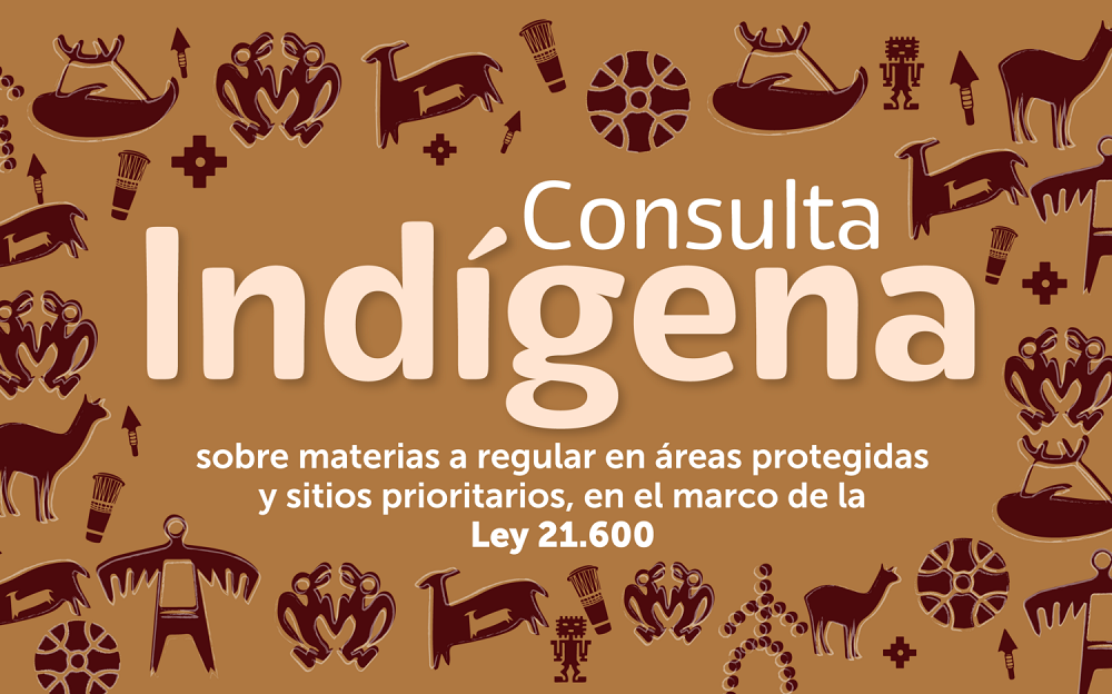 Ministerio del Medio Ambiente inicia Consulta indígena sobre materias que regularán las áreas protegidas y sitios prioritarios de nuestro país