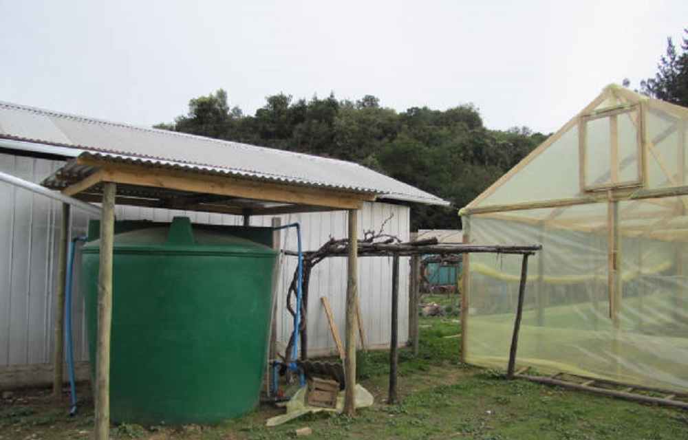 INIA Rayentué impulsa más  de 4.000 cosechadores de agua-lluvia en Chile