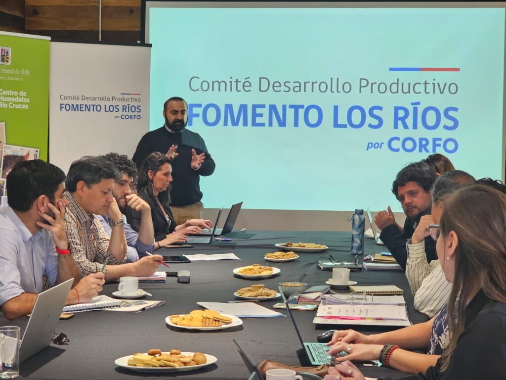 Comité Fomento Los Ríos define presupuesto e inversiones estratégicas para el 2025 